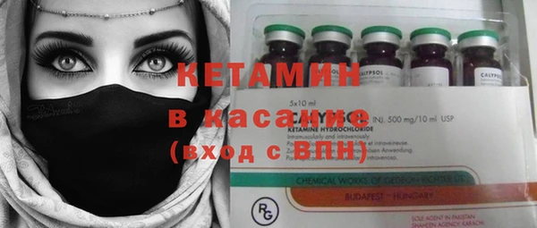 индика Костерёво