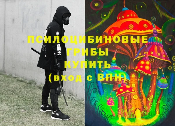 индика Костерёво
