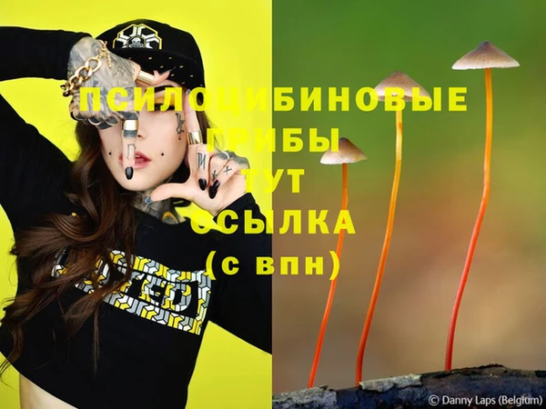 индика Костерёво